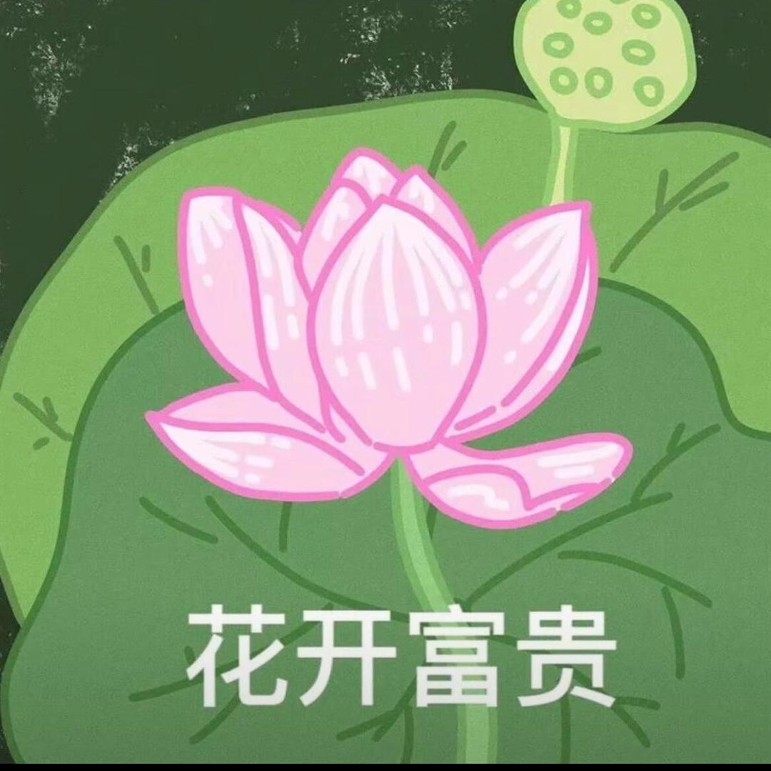 月亮手作🌙