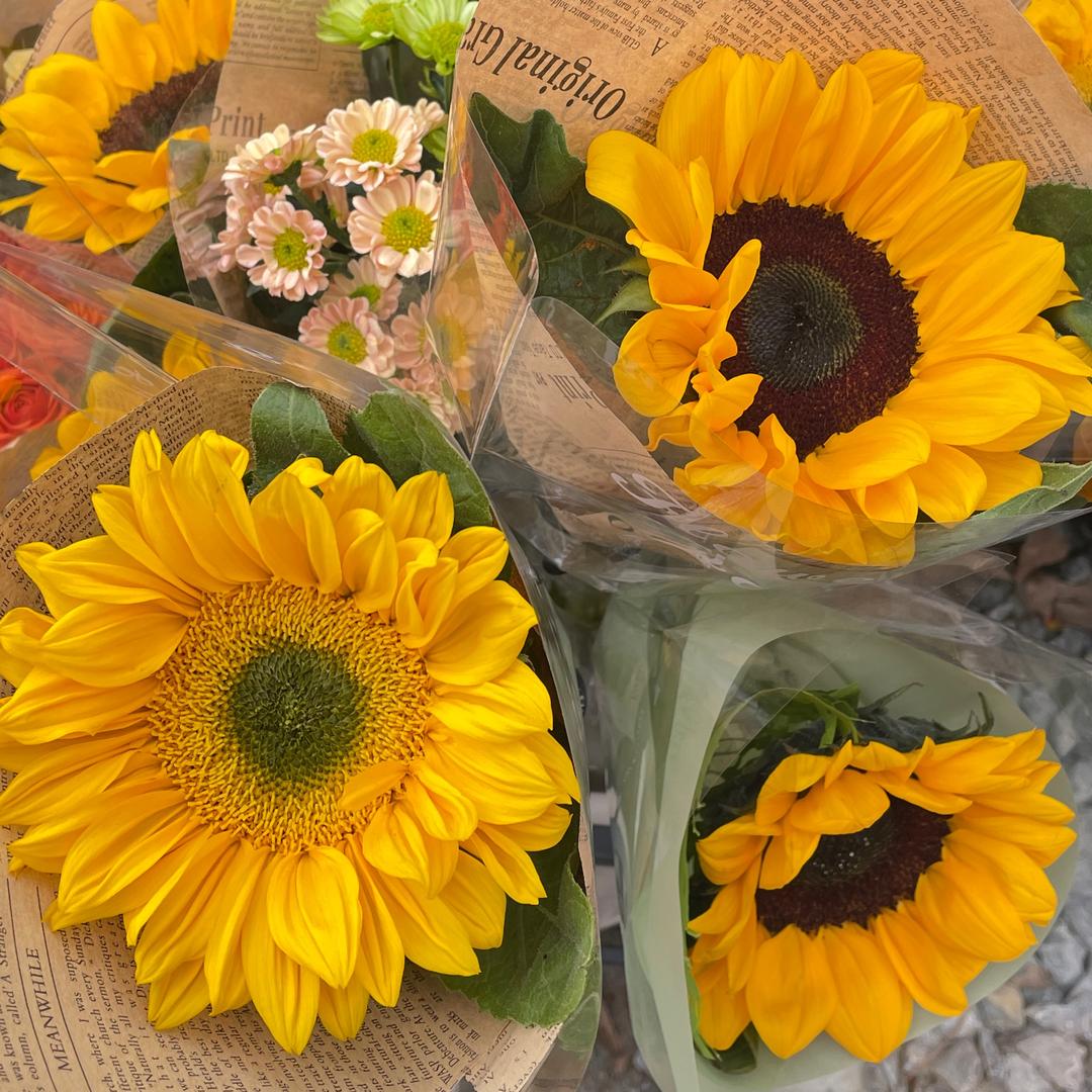 🌻