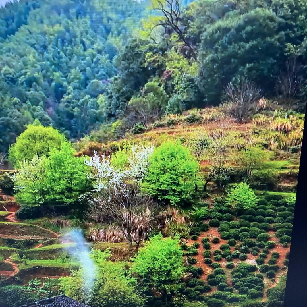 安鹏百货零售超市