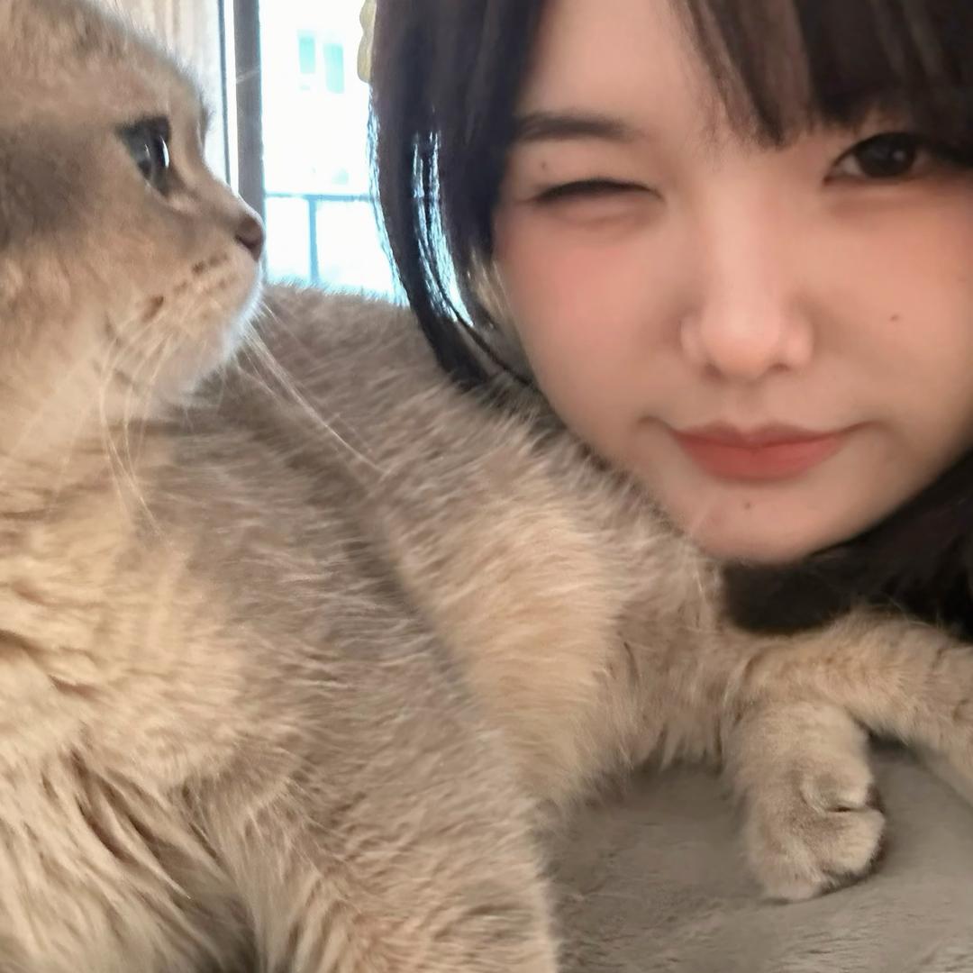 悲伤的鲨贝o