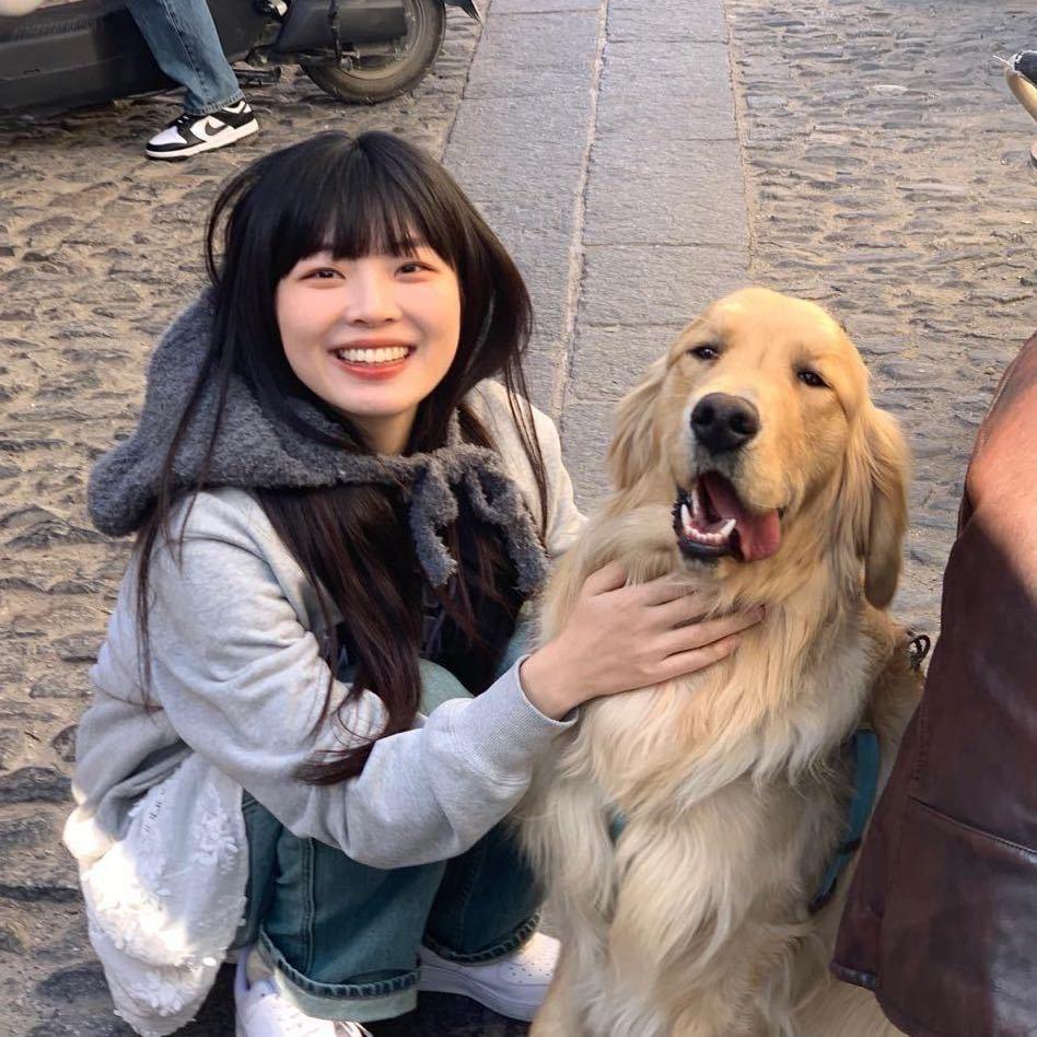 开心南波万