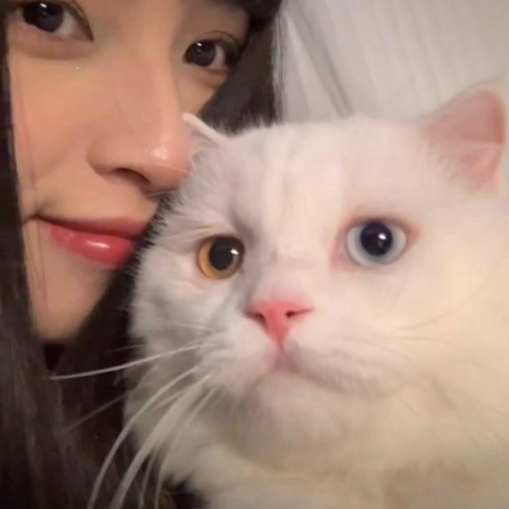 菜菜不菜