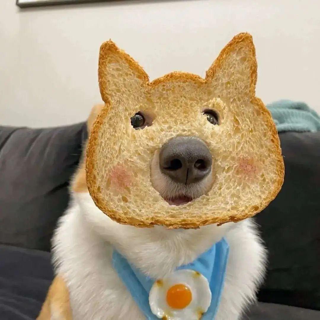 我爱吃汉堡°