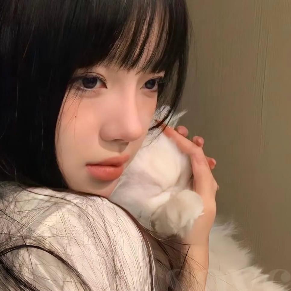 你找哪只熊🧸