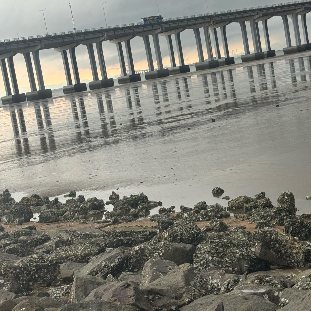 a17688684546