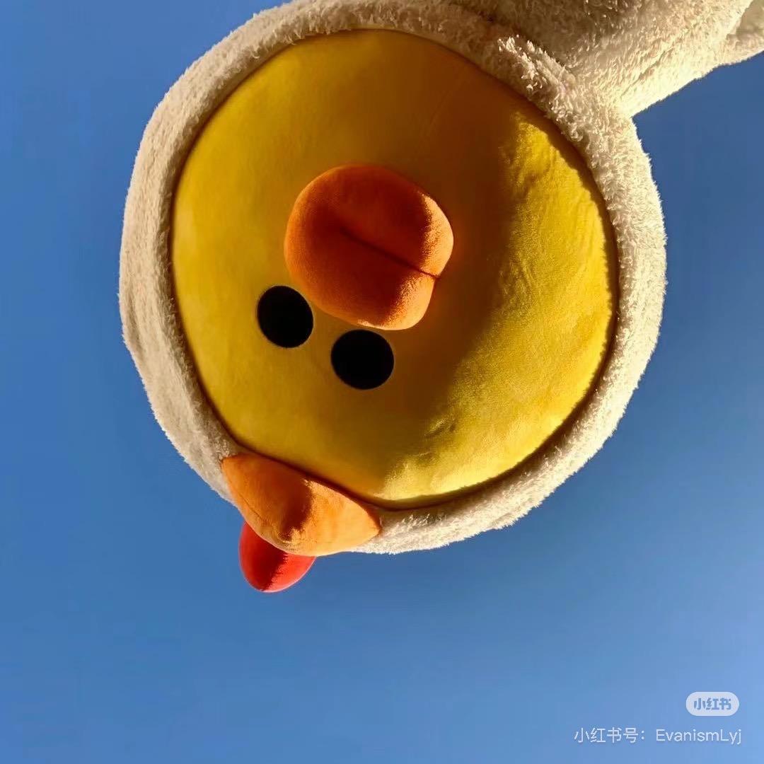 大橙子不是小山竹