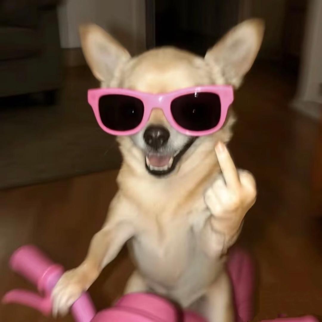 窝没莲窝没批窝没莲没批