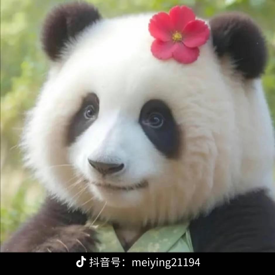 你好毒