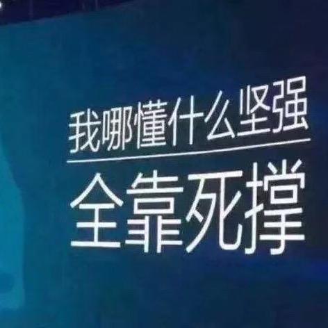 琴