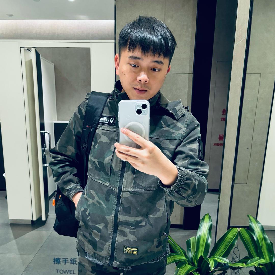 雁南飞