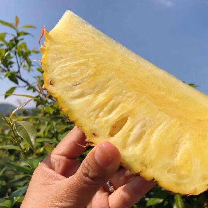 扶摇商贸