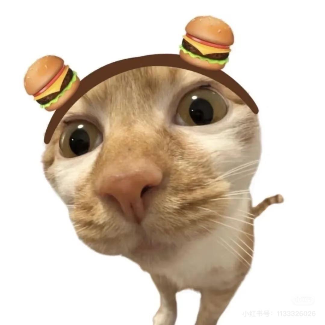 猫meme🐟基米