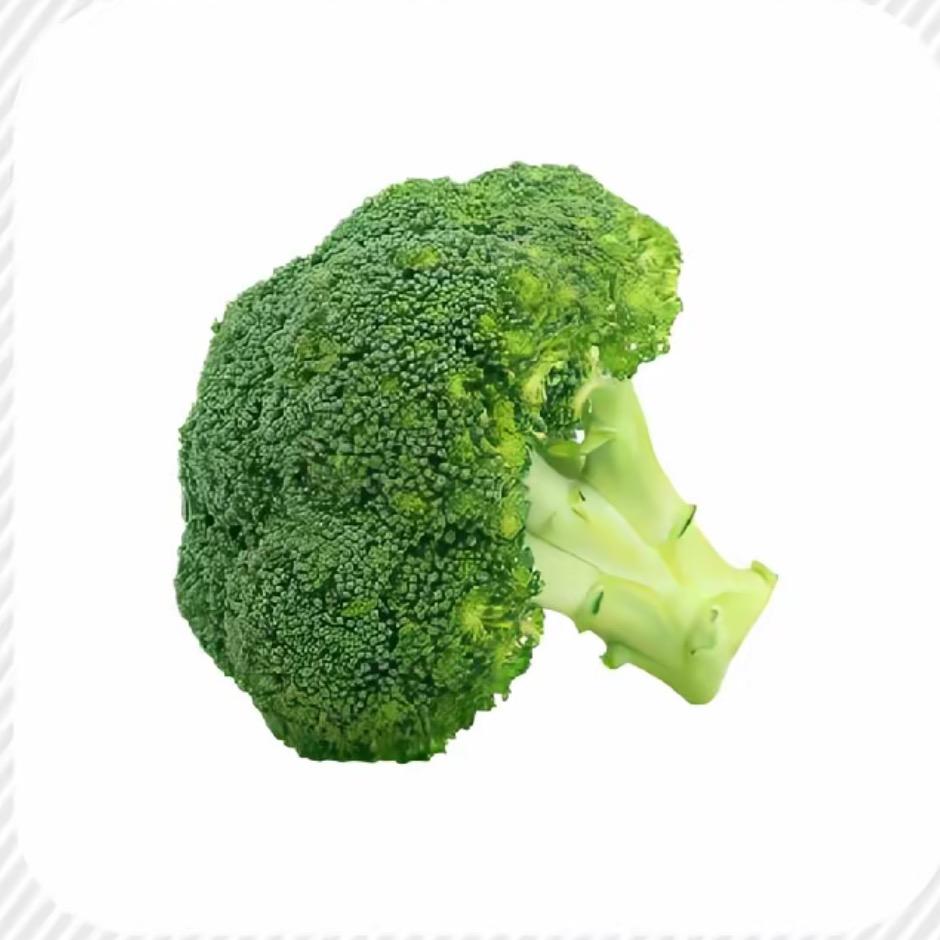 我奶常扇赵子龙