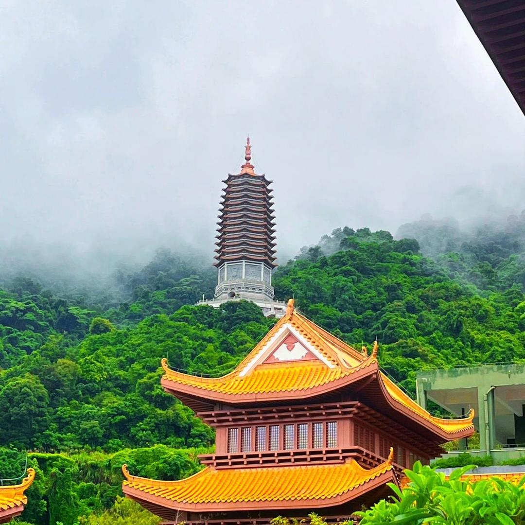 重阳净世居士