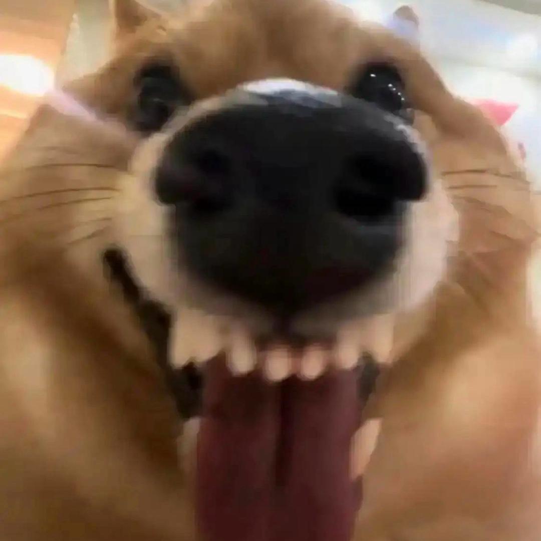 不吃内脏