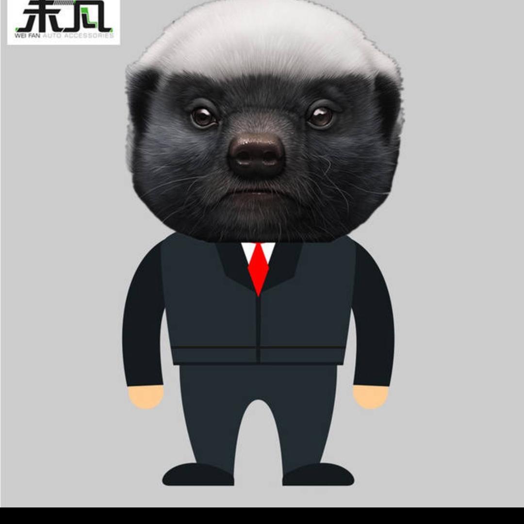 顶峰相见