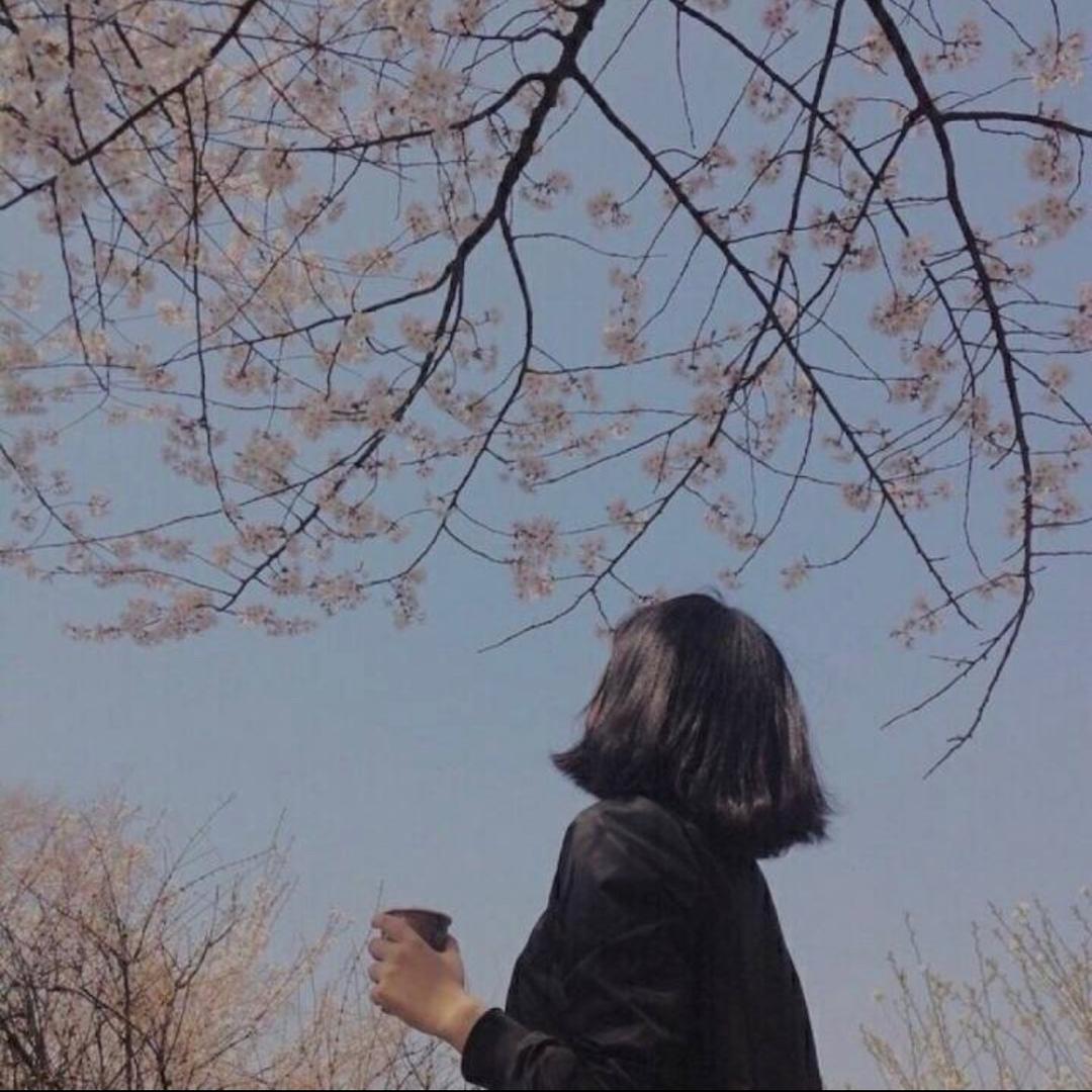 Echo手机摄影@抖音