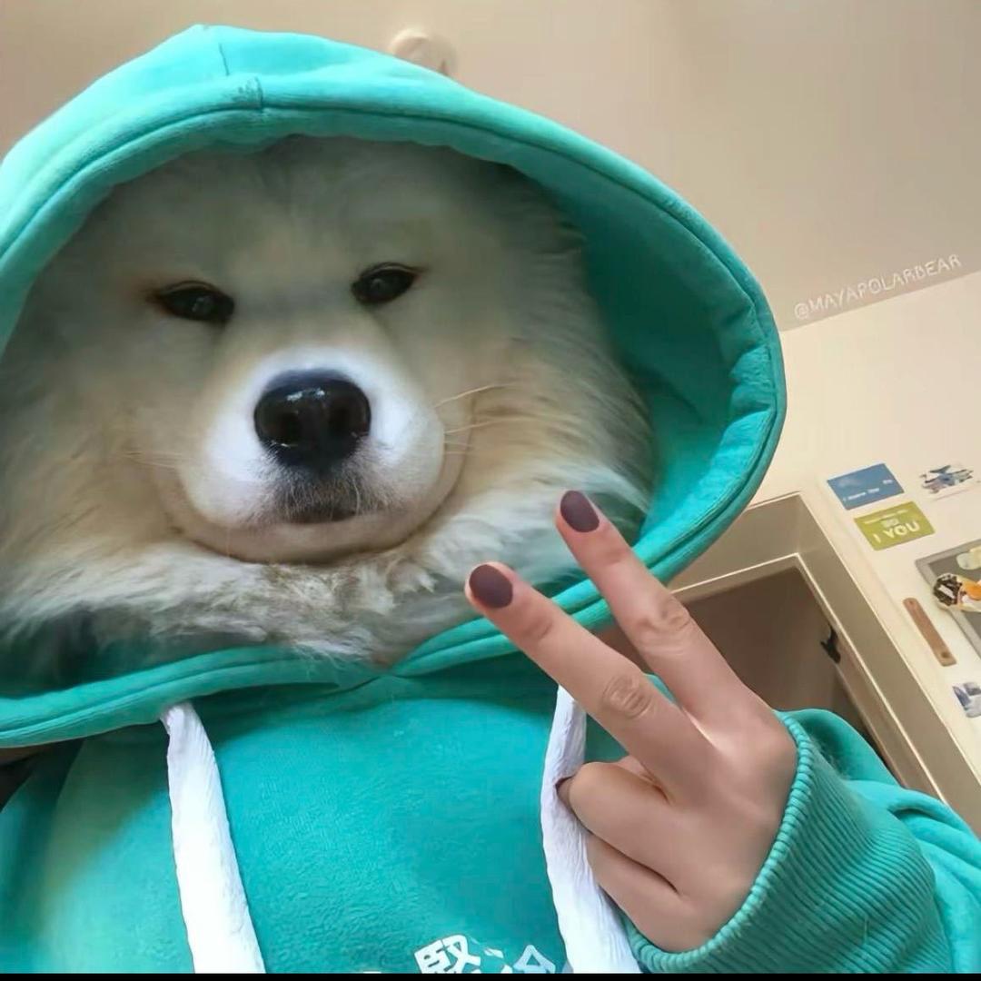 路上的朋友