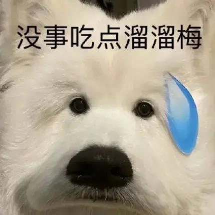 鑫儿