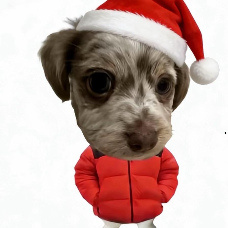 番茄炒西红柿；