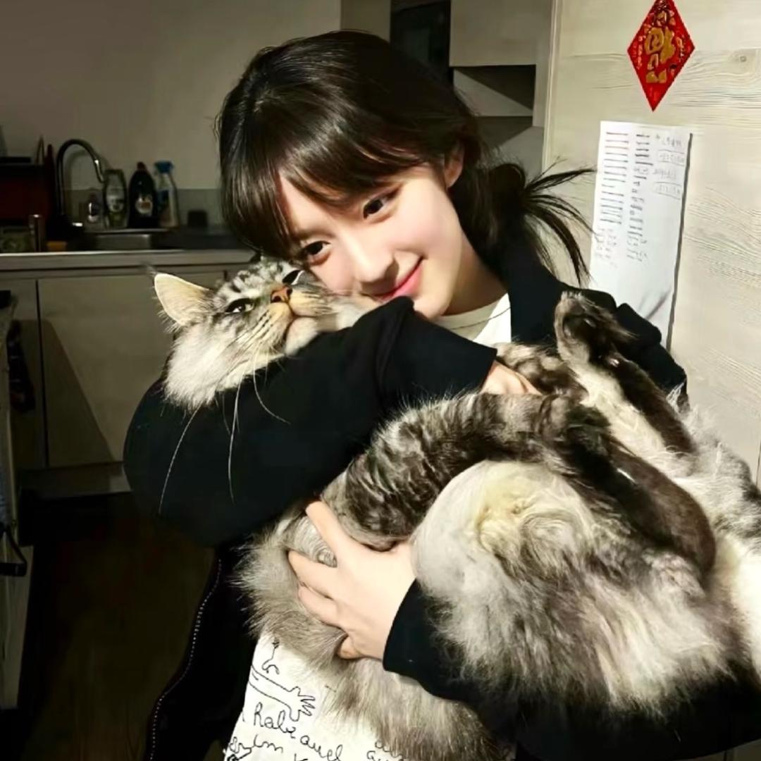 小鱼集