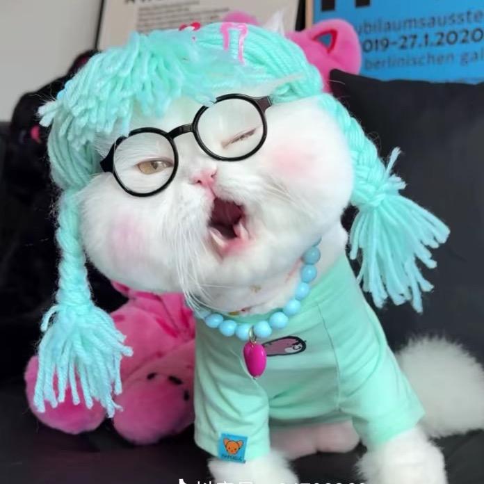 熊小熊@