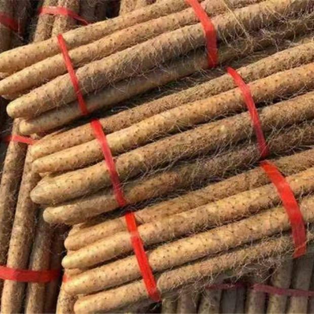 铁棍山药无货源电商供应