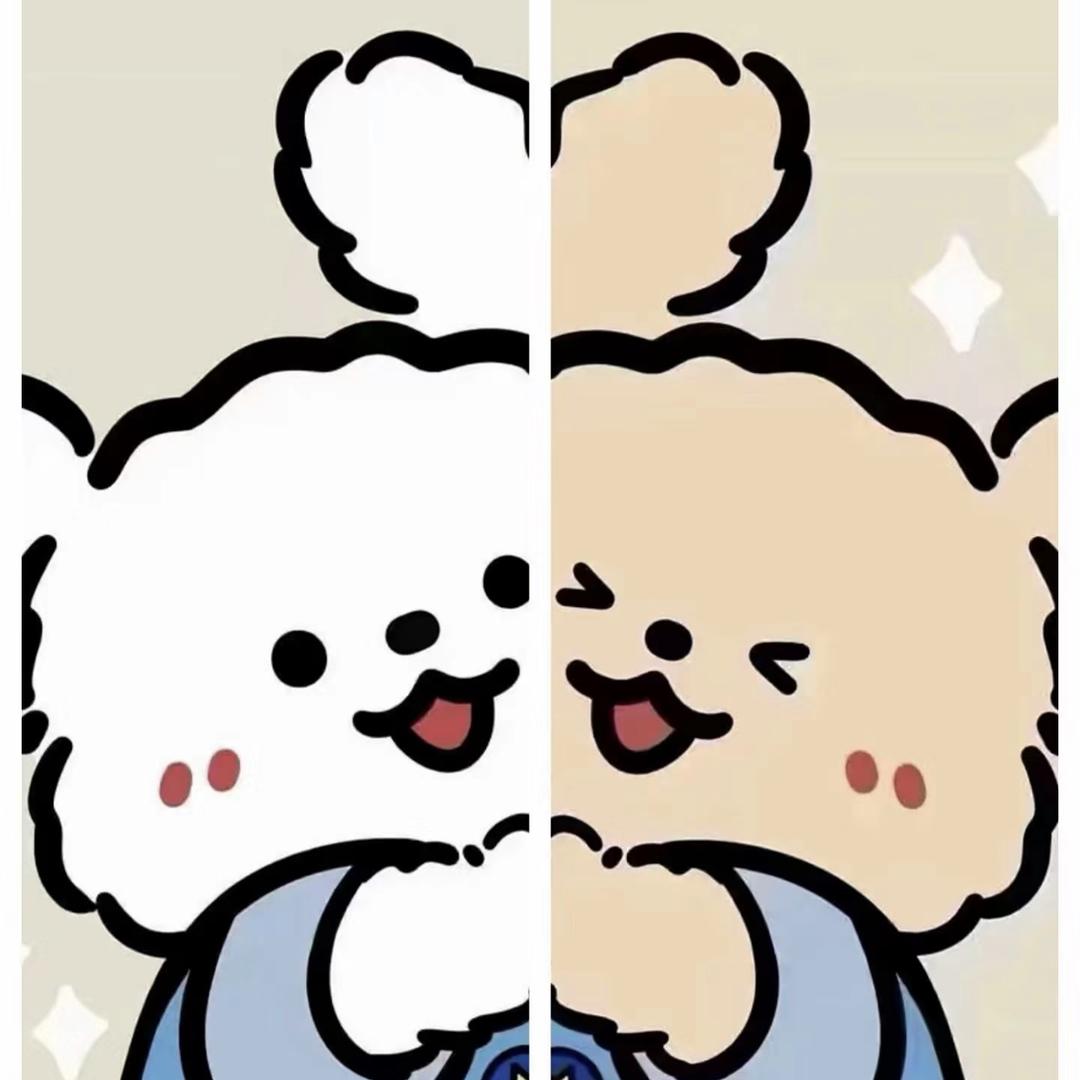 鑫&芷沫（TNT）