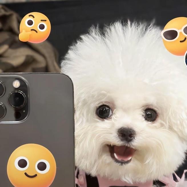 琦茂茂好物分享