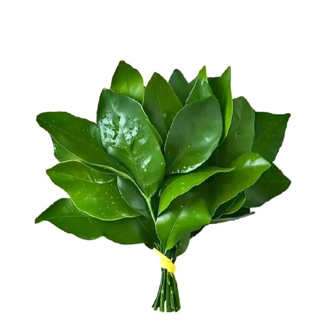 小7⃣️不熬夜_