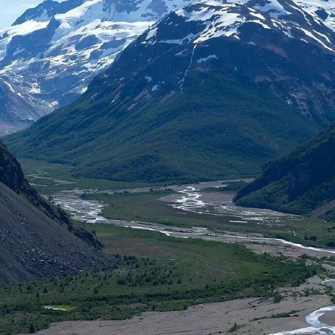 阿木木 悟空精神🐘