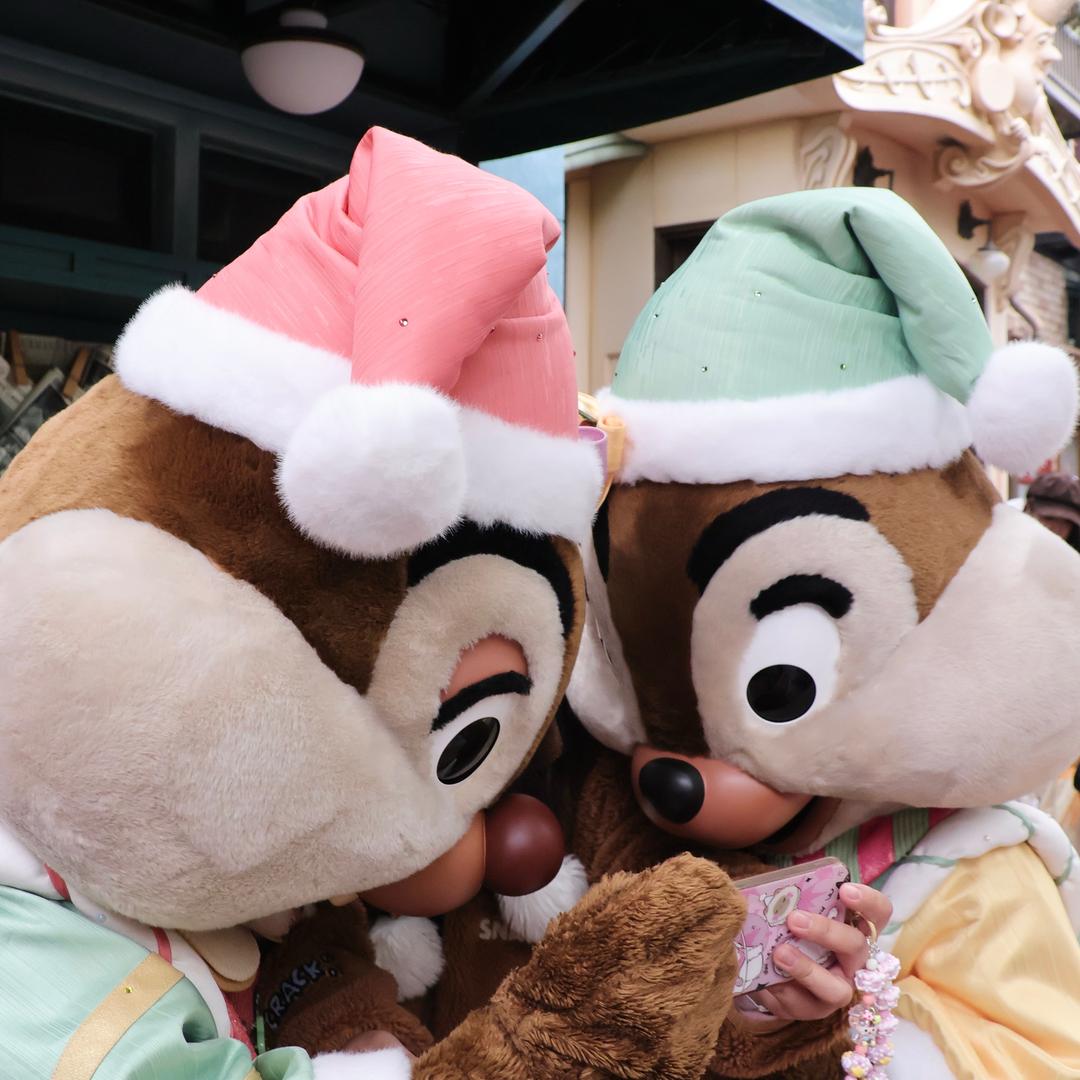 🐿️ 🐿️ 叽叽喳喳的叽叽🐰💖⚡