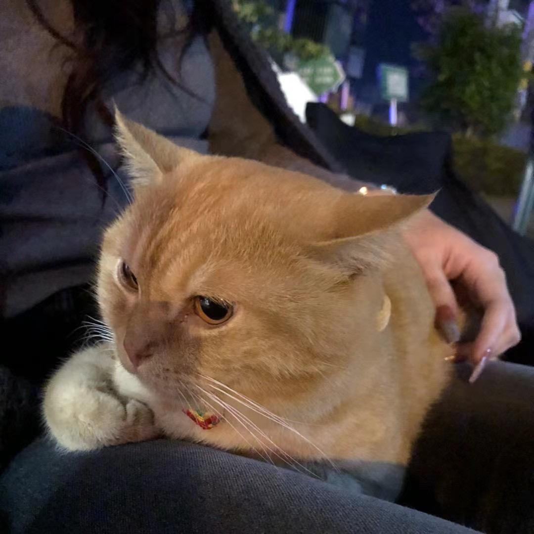 西红柿🍅炒鸡蛋🥚