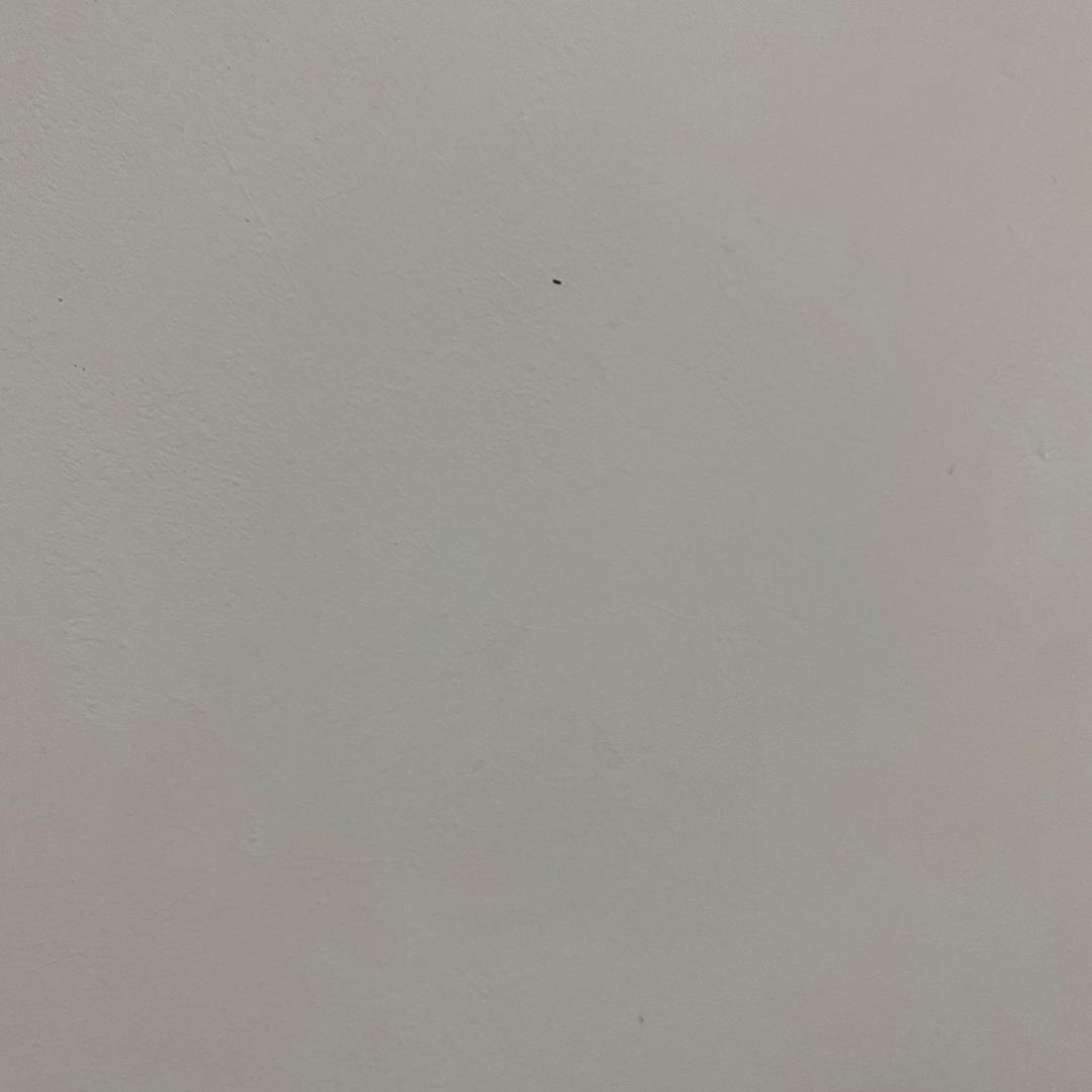 生活
