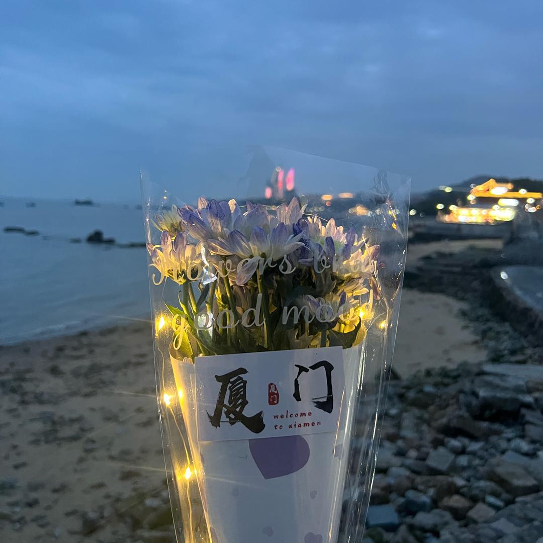 超爱吃香菜的小小张