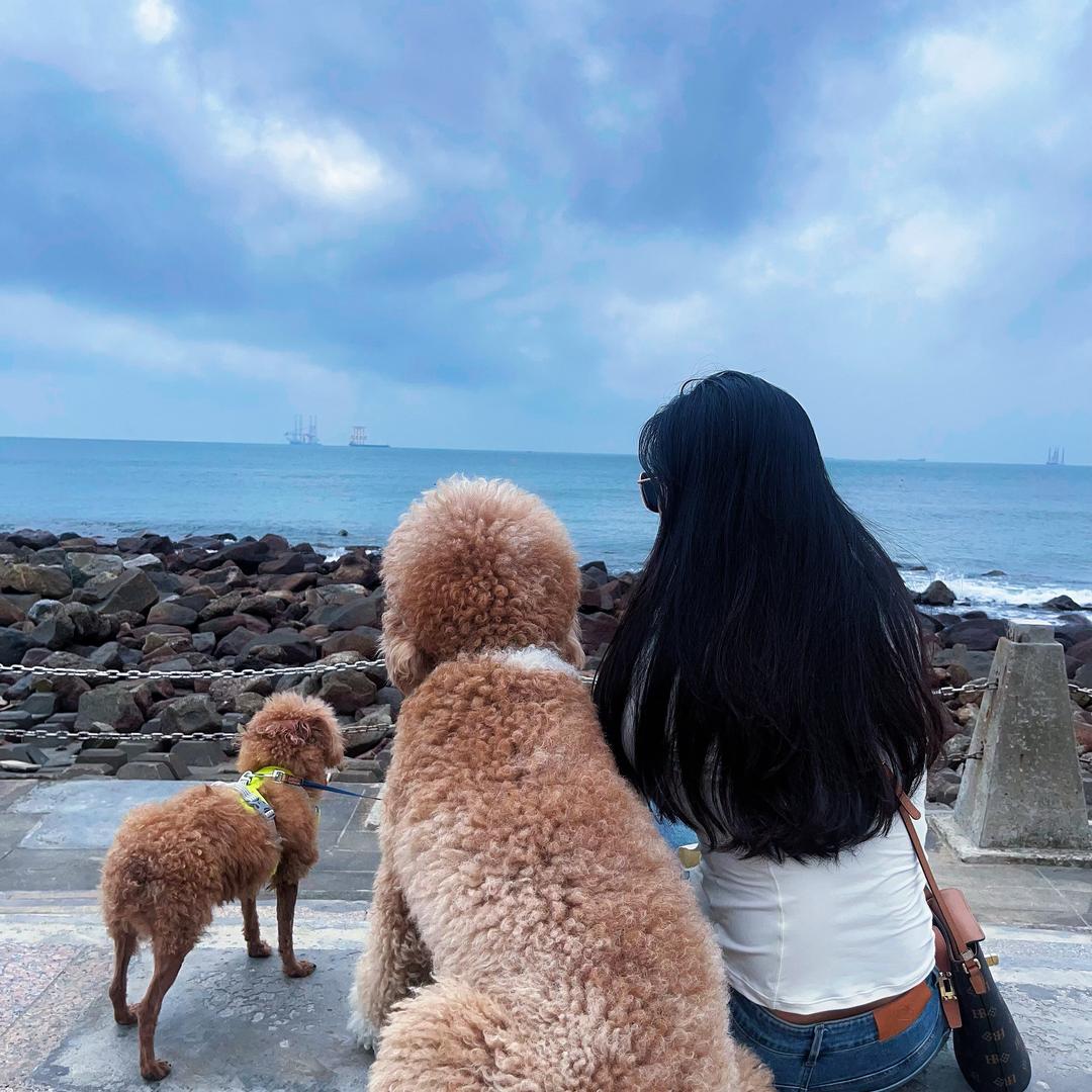 我家有财财🐶