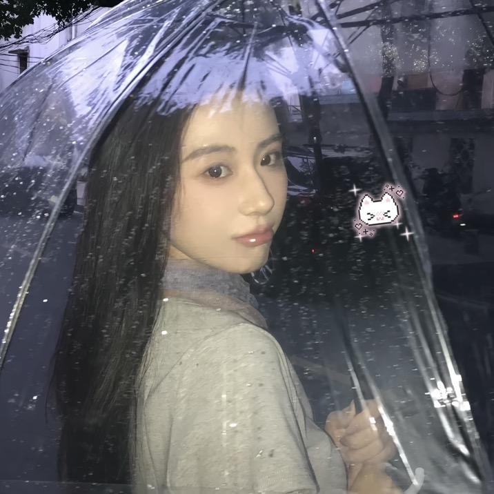豆柴小七