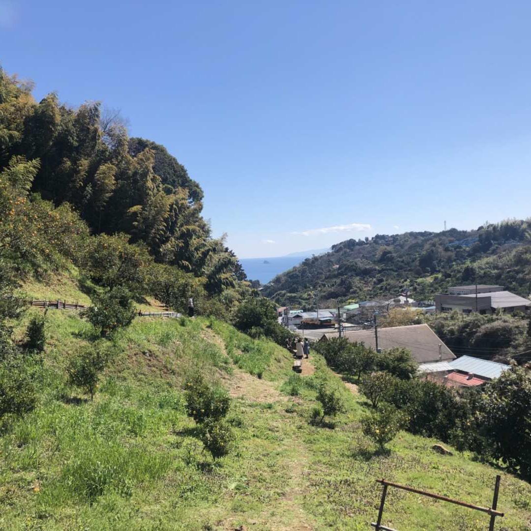 夏欧巴