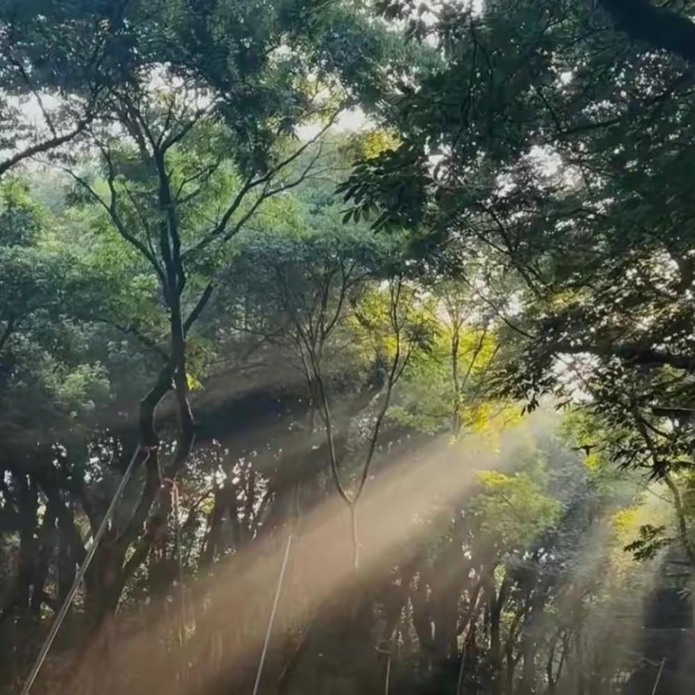 💕🎶北城陌🎶💕