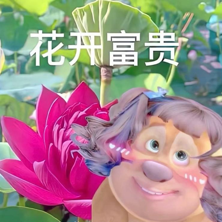 丹🥱
