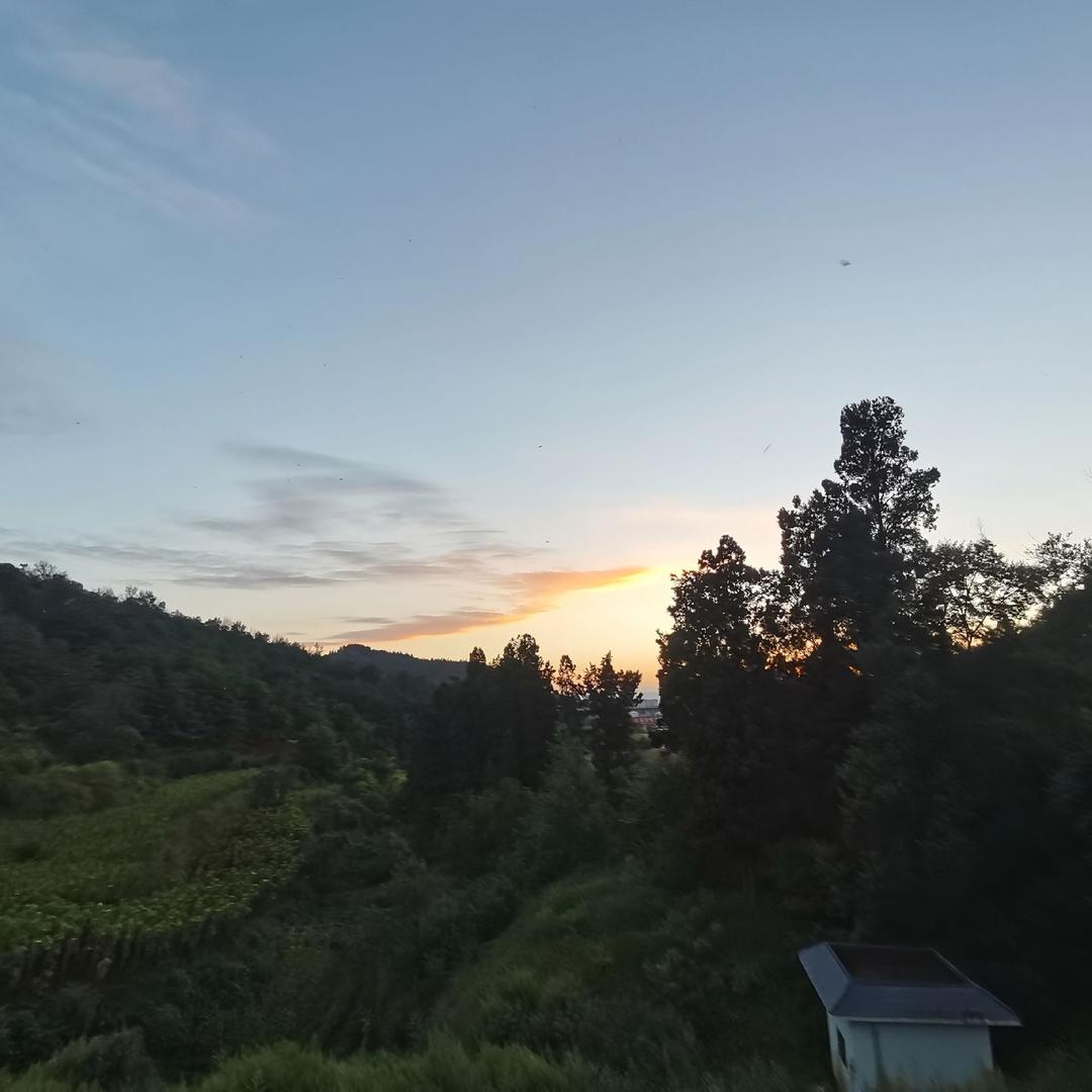 小任ᨶ႒ᩚ性ᵥ̶ₑ̶ᩚ