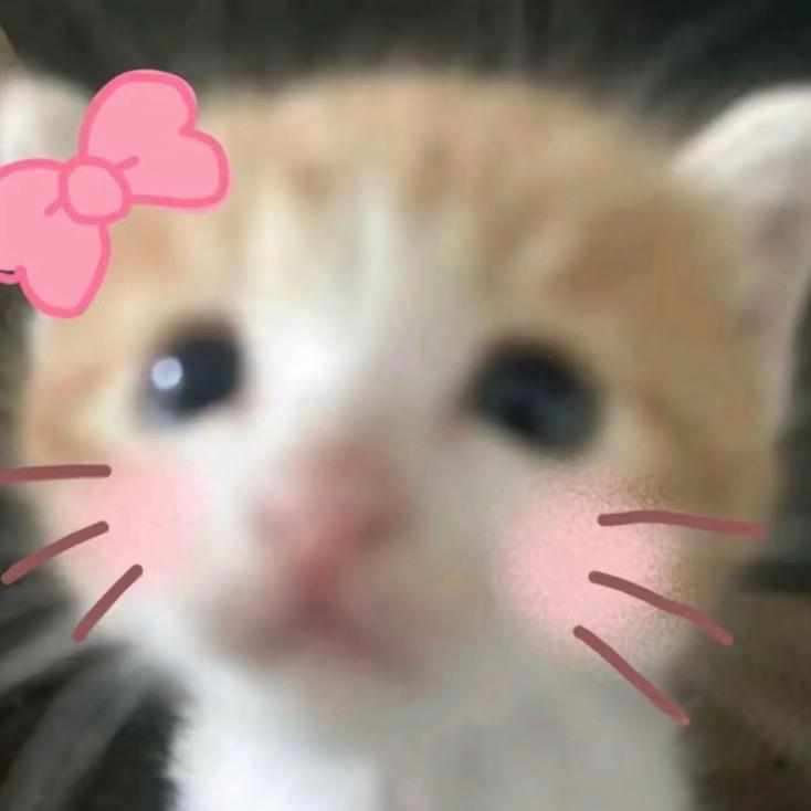 小小栖