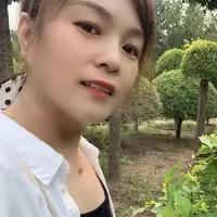 保定苗木大能戴
