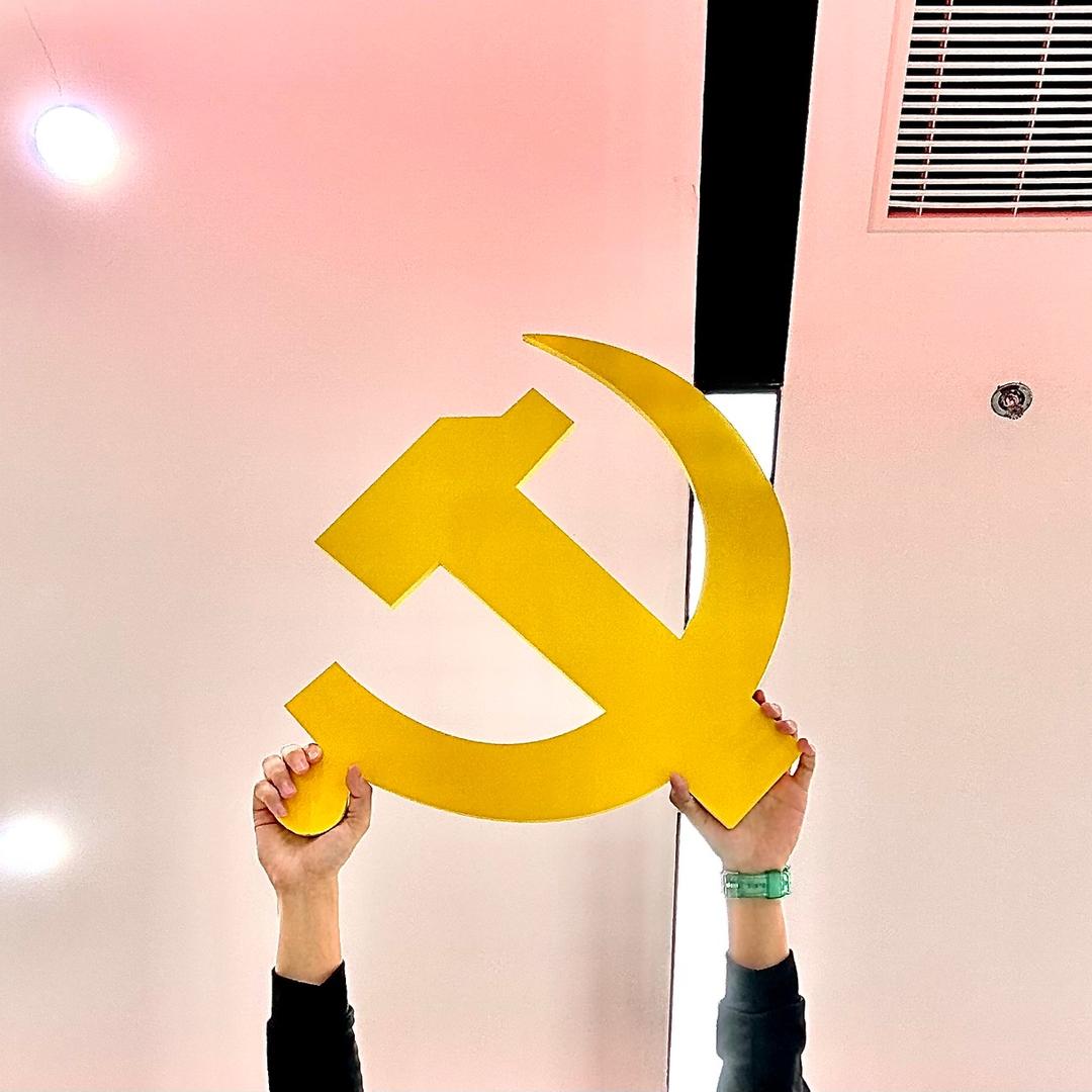 二十九画生