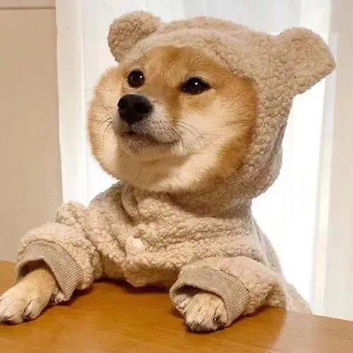 cf程逸