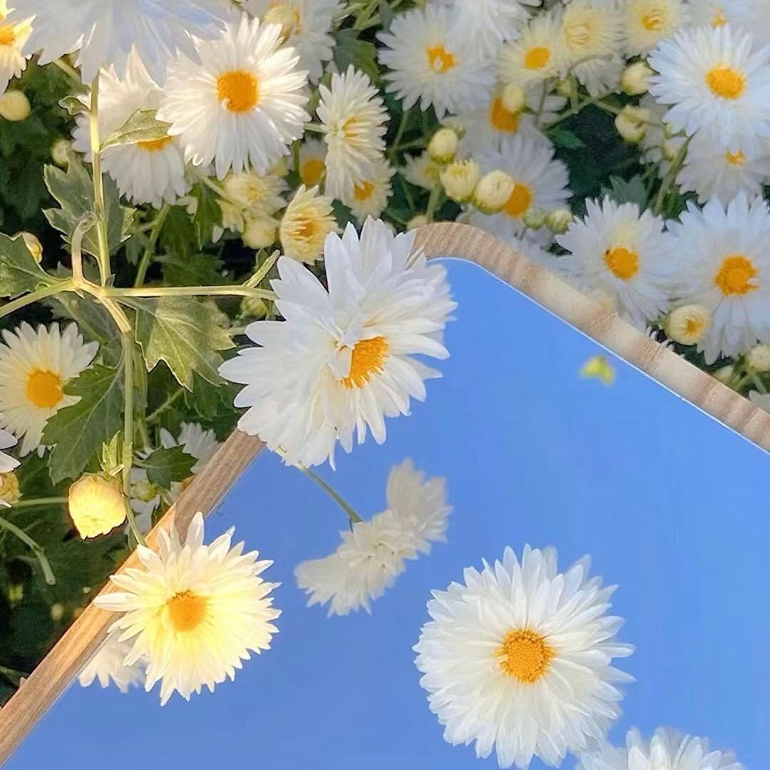 一荤一素💭