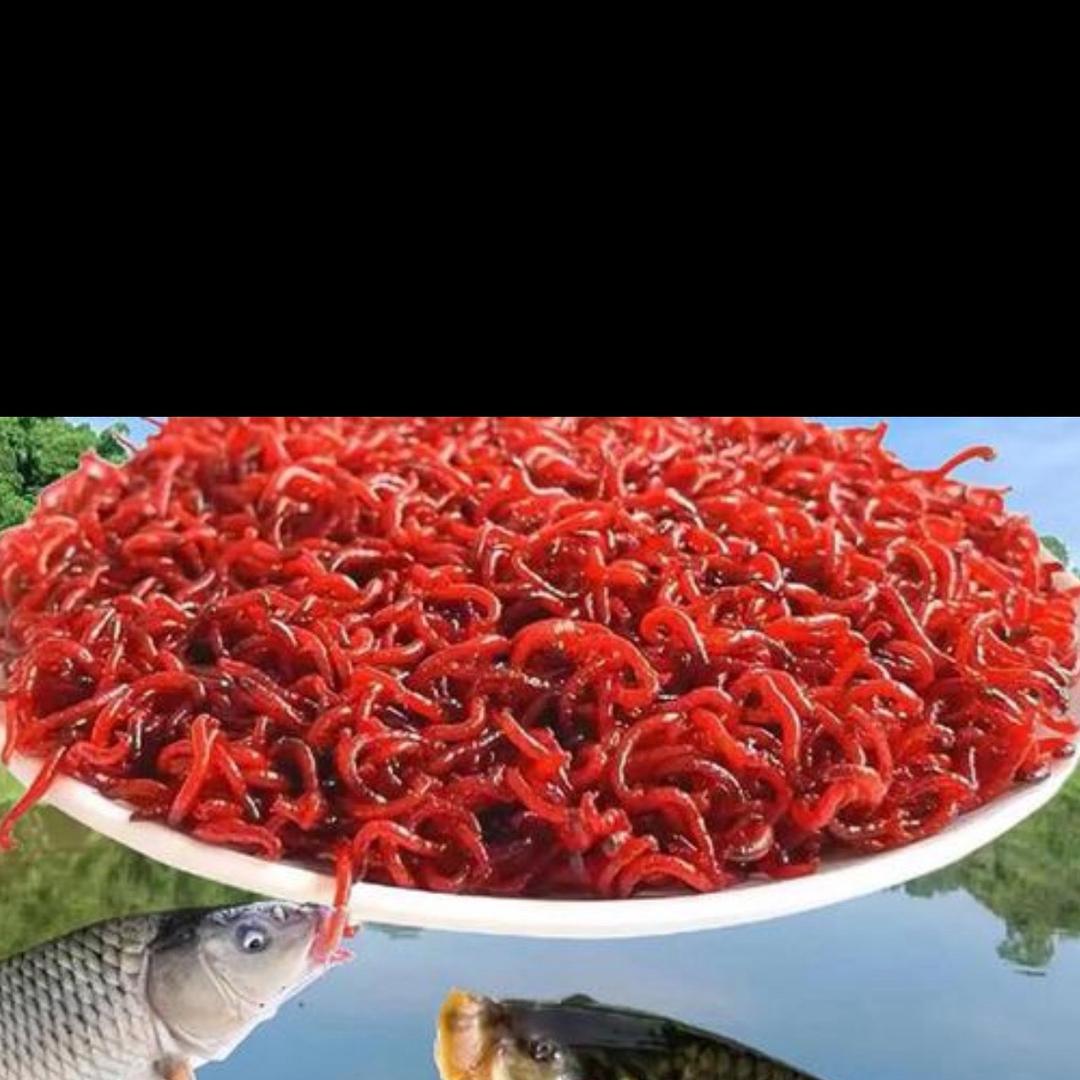 莹莹的红虫小店