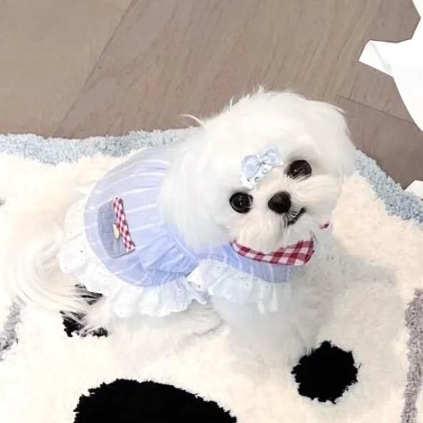 没什么可说