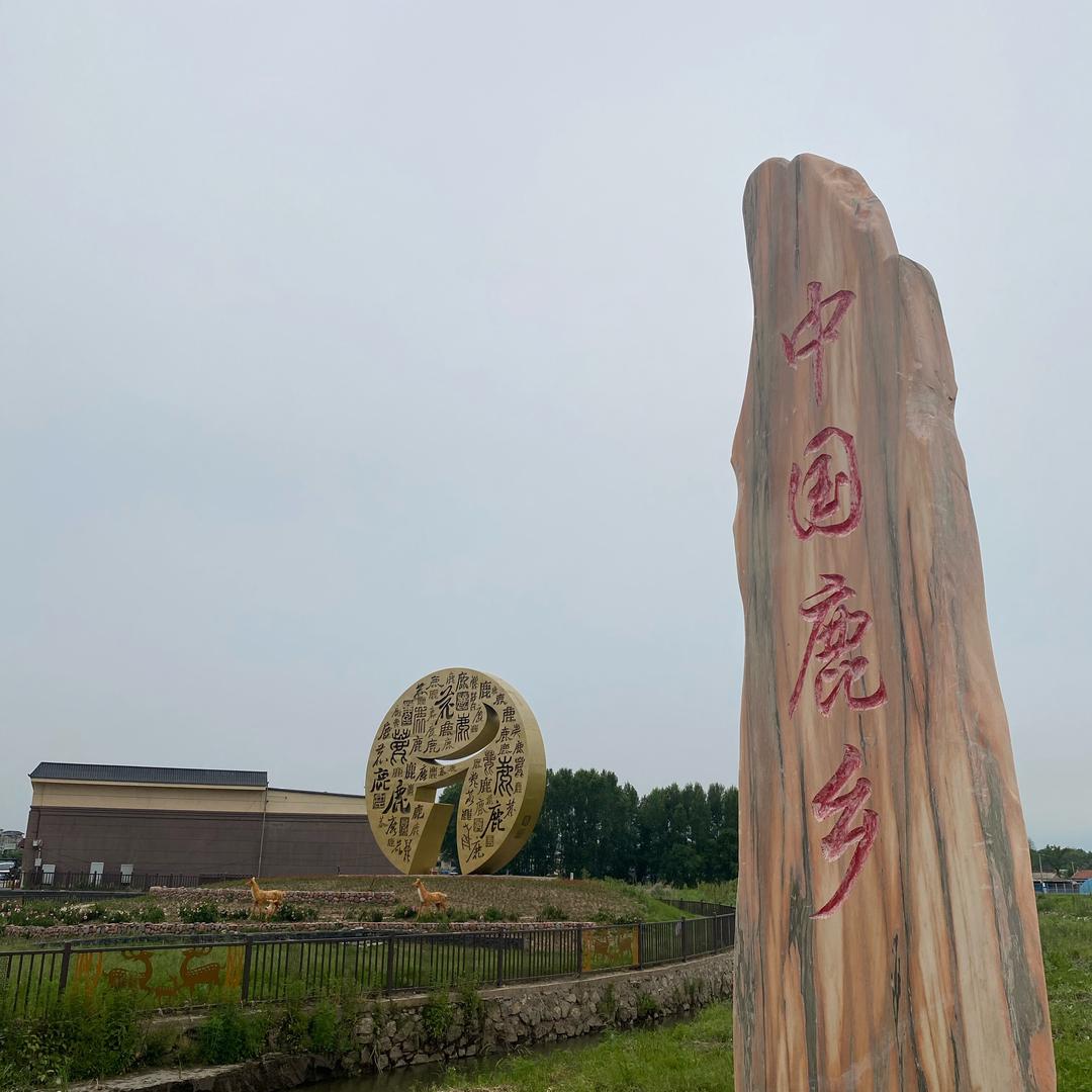 羲驭滋补专营店肆号