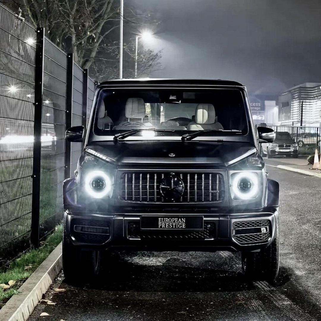 🎶一叶之秋🎶